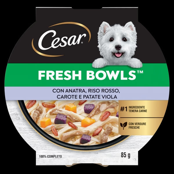Cesar Fresh Bowls Cane Anatra Riso Rosso Carote Patate Viola 85 g Cesar Fresh Bowls Cane Anatra Riso Rosso Carote Patate Viola 85 g